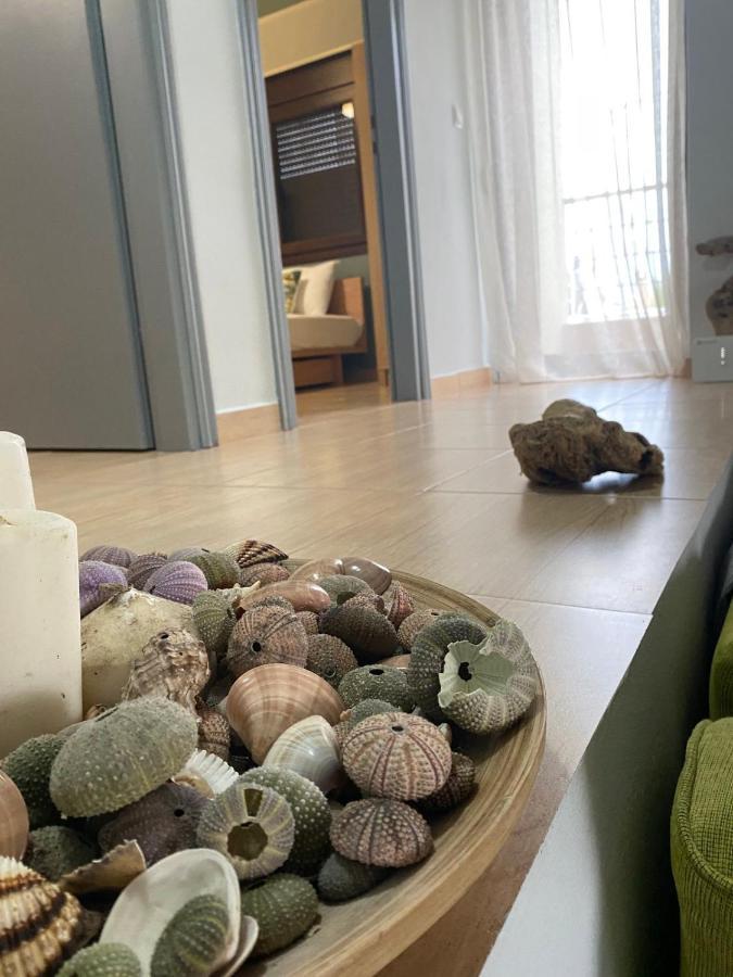 Beach House Nea Roda Chalkidiki エクステリア 写真