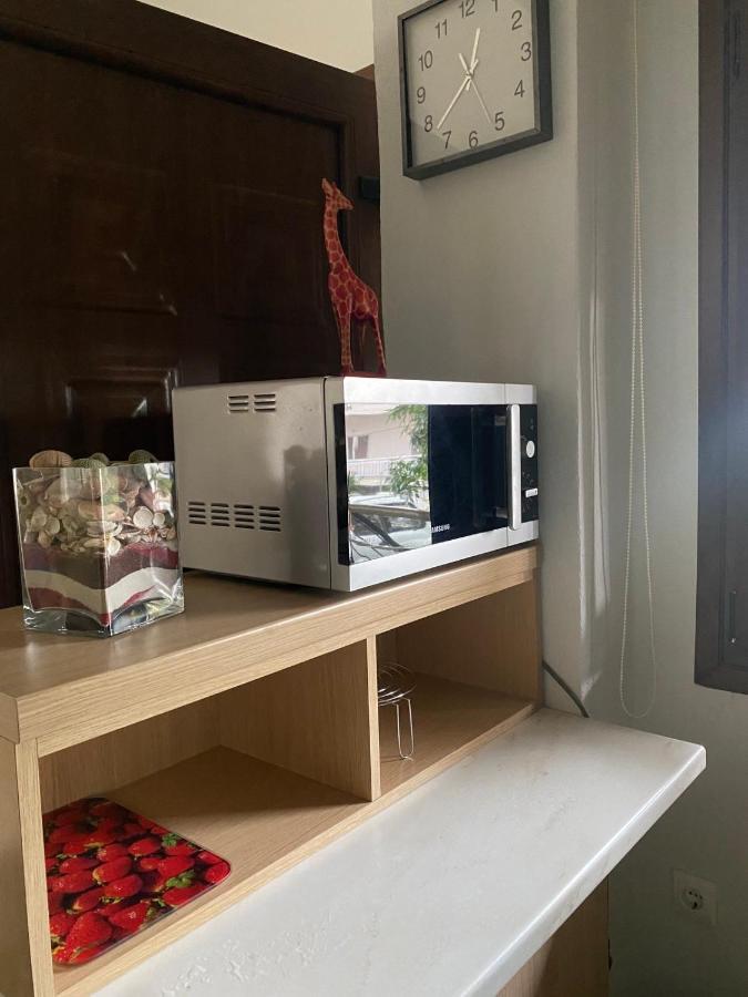 Beach House Nea Roda Chalkidiki エクステリア 写真